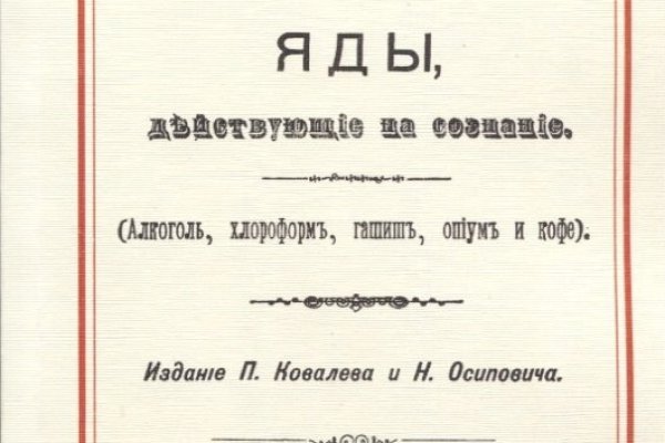 Кракен сайт дарк нет