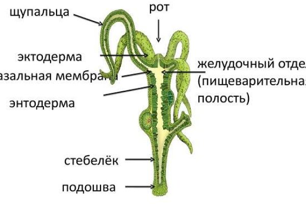 Ссылка кракен магазин