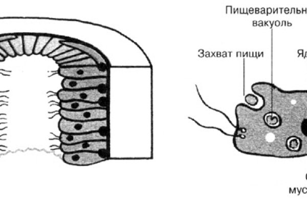 Кракен это современный даркнет маркетплейс