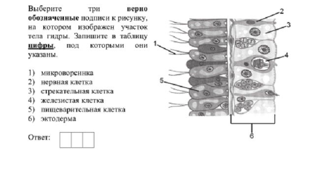 Ссылка кракен через тор