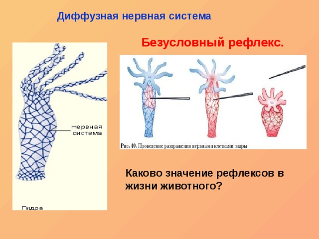 Какая ссылка на кракен