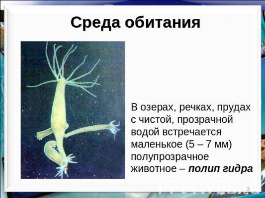 Кракен впн
